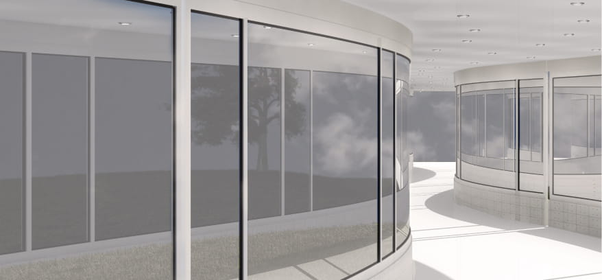МОЛЛИРОВАННЫЕ